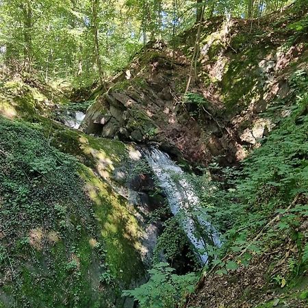 Ferienwohnung Zum Hirschen Herzberg am Harz Exterior foto