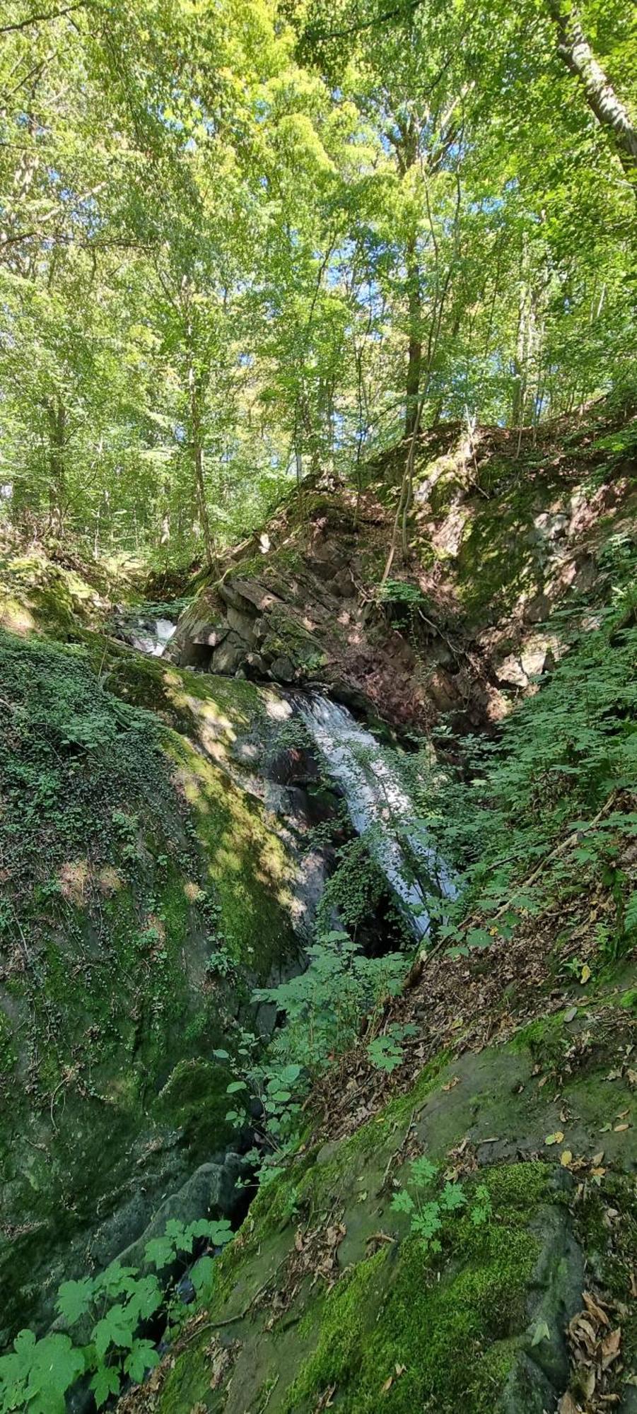 Ferienwohnung Zum Hirschen Herzberg am Harz Exterior foto