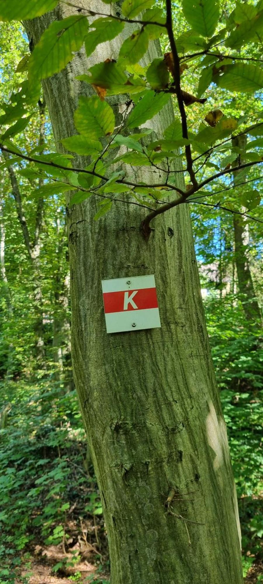 Ferienwohnung Zum Hirschen Herzberg am Harz Exterior foto